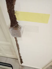 SJ Termite Baiting System
