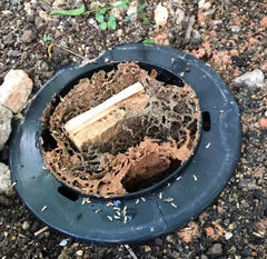 Advanced Termites Bait Station - Outdoor